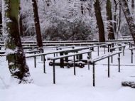 Wirral Snow